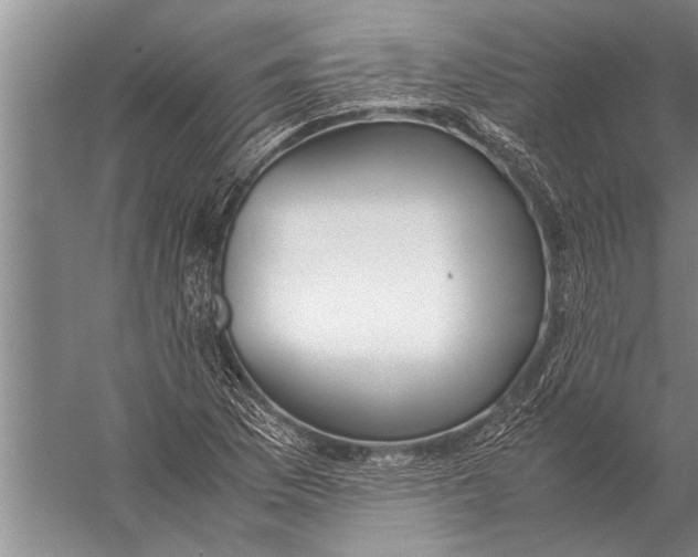 X0000057061169200510010059