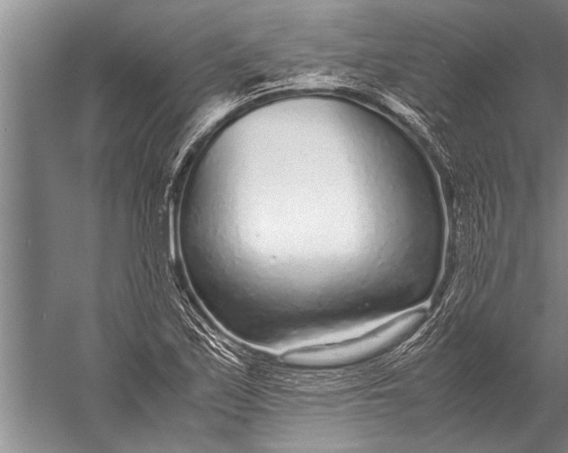 X0000057061171200510010059