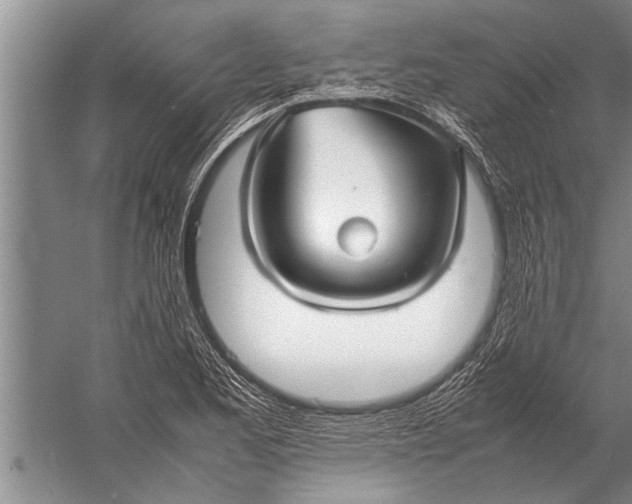 X0000057061173200510010059