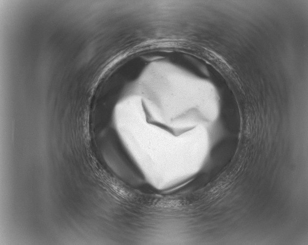 X0000057061174200510010059