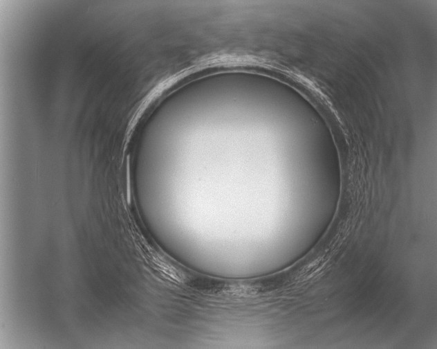 X0000057061175200510010059