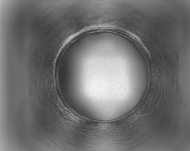 X0000057061176200510010059