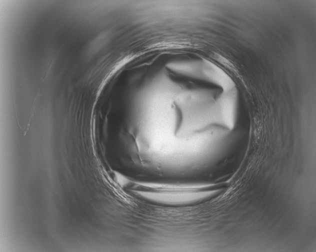 X0000057061179200510010059