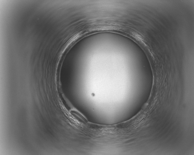 X0000057061181200510010059