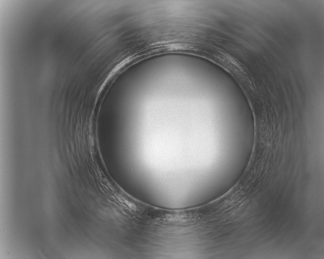 X0000057061182200510010059