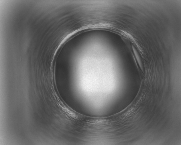 X0000057061184200510010059