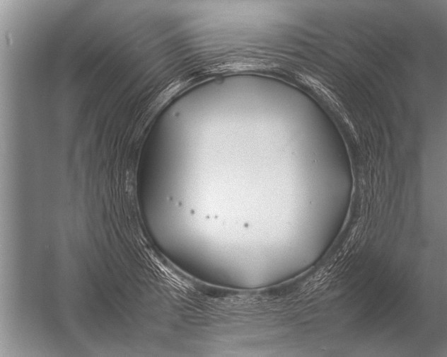 X0000057061185200510010059