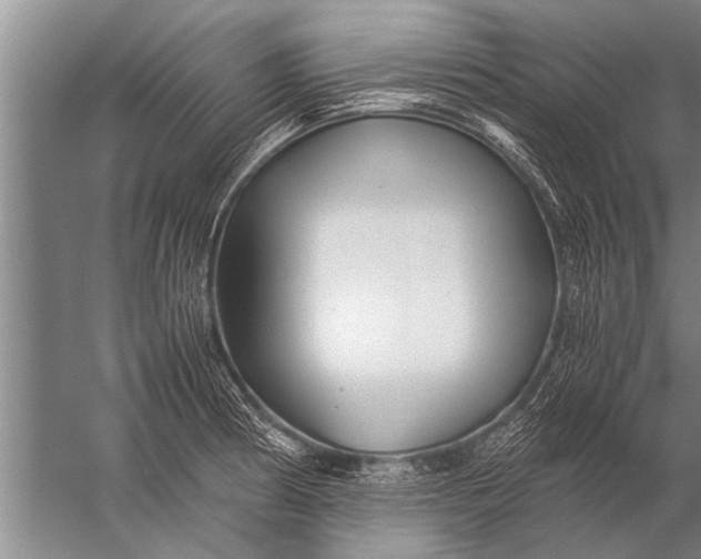 X0000057061186200510010059