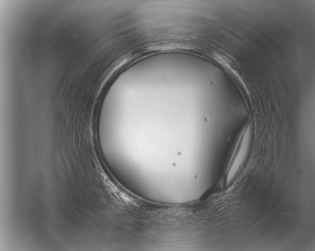 X0000057061189200510010059