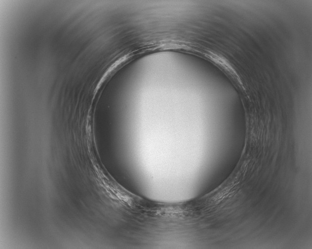 X0000057061190200510010059