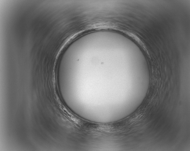 X0000057061191200510010059