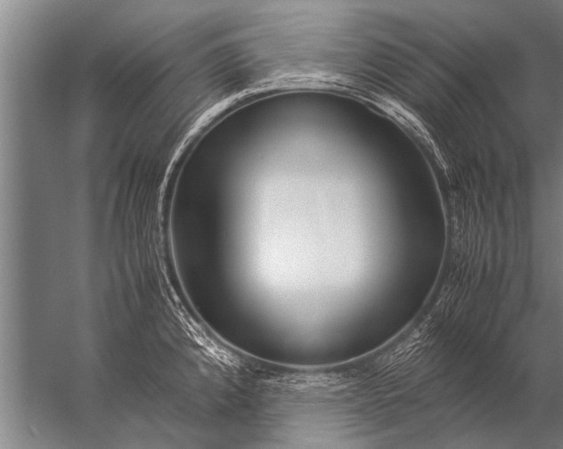 X0000057061192200510010059