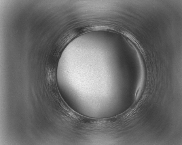 X0000057061193200510010059