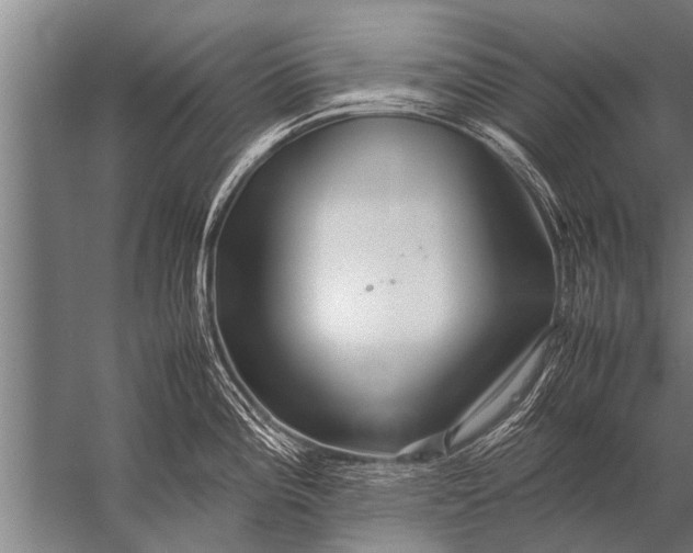 X0000057061196200510010059