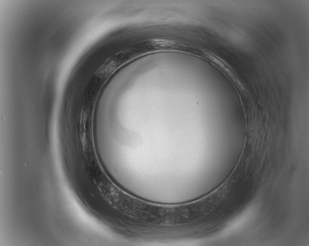 X0000057061199200510010059