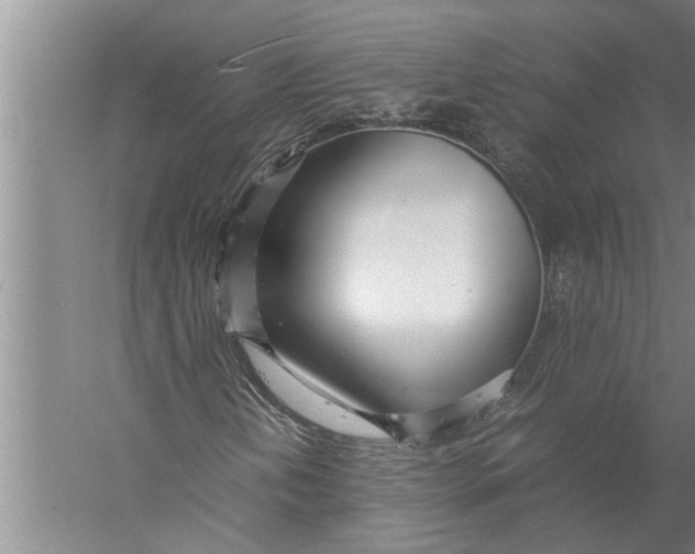 X0000057061202200510010058