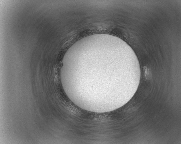 X0000057061203200510010058