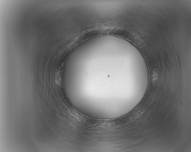 X0000057061204200510010058