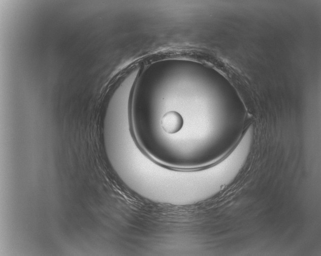 X0000057061206200510010058