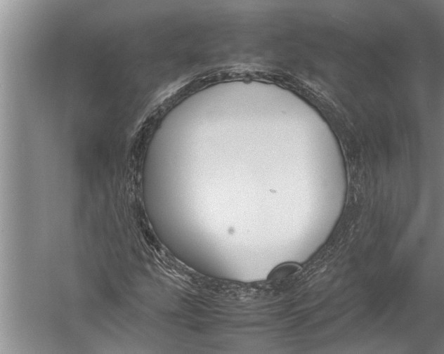 X0000057061207200510010058