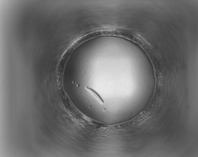 X0000057061208200510010058