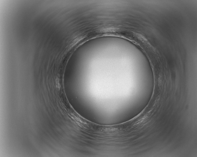 X0000057061209200510010058