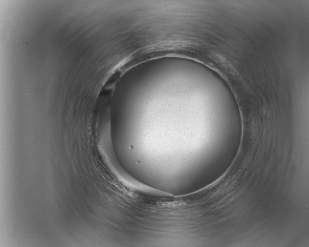 X0000057061210200510010058