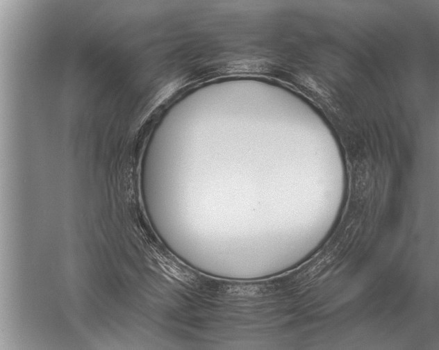 X0000057061211200510010058