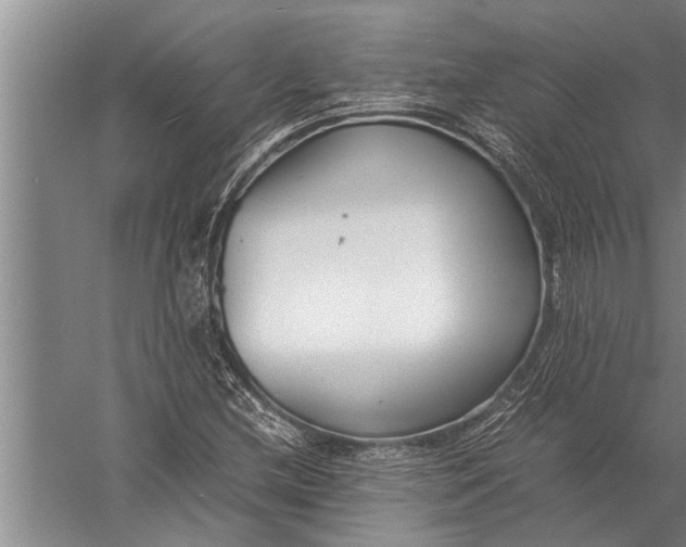 X0000057061212200510010058