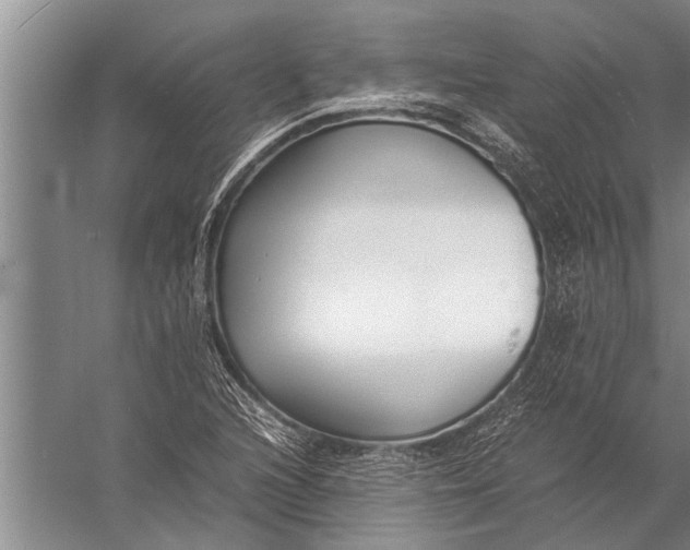 X0000057061216200510010058