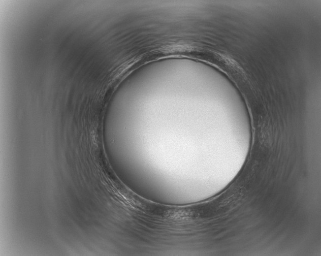 X0000057061217200510010058