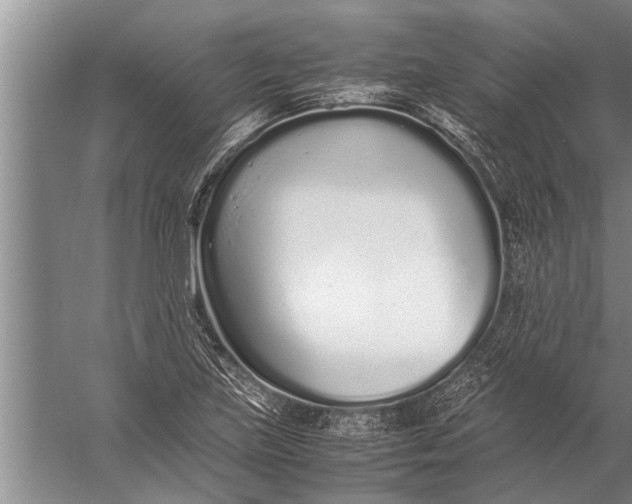 X0000057061219200510010058