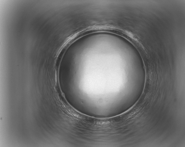 X0000057061221200510010058