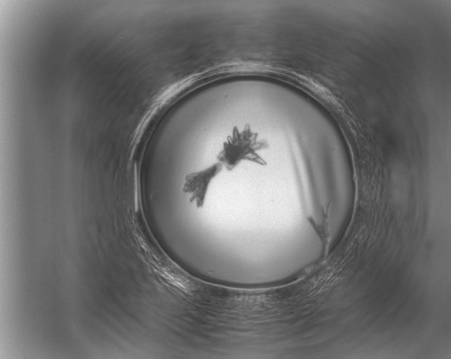 X0000057061223200510010058