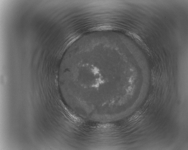 X0000057061225200510010059