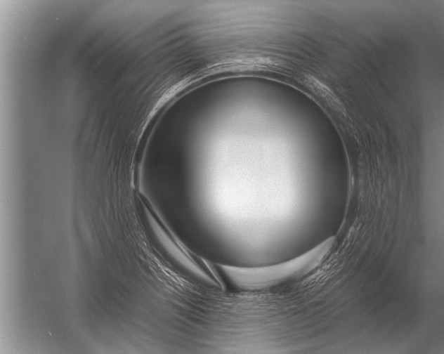 X0000057061226200510010059