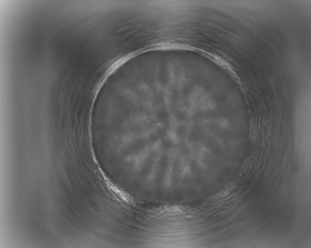 X0000057061231200510010059