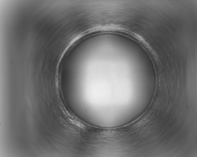 X0000057061232200510010059