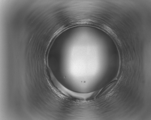 X0000057061234200510010059