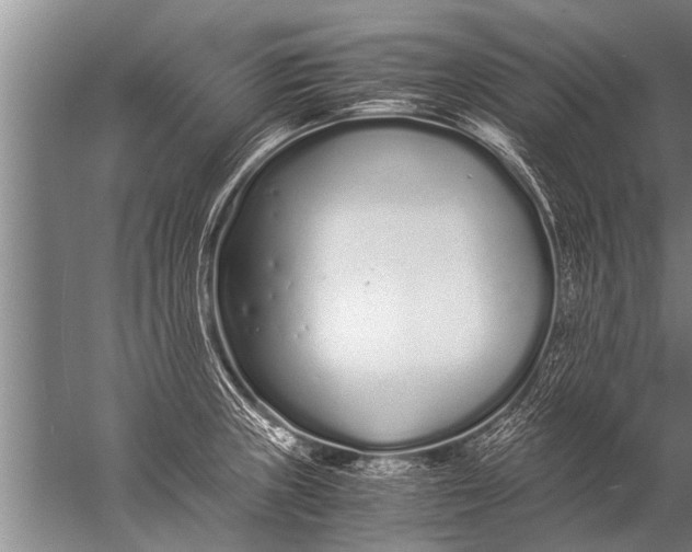 X0000057061235200510010059