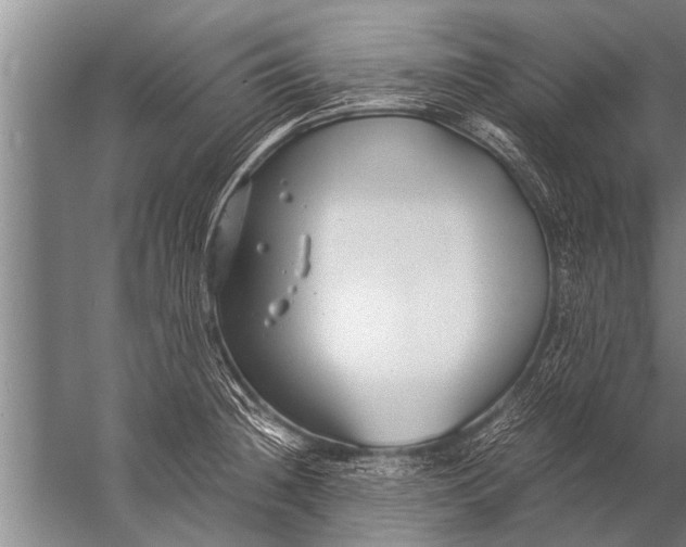 X0000057061236200510010059