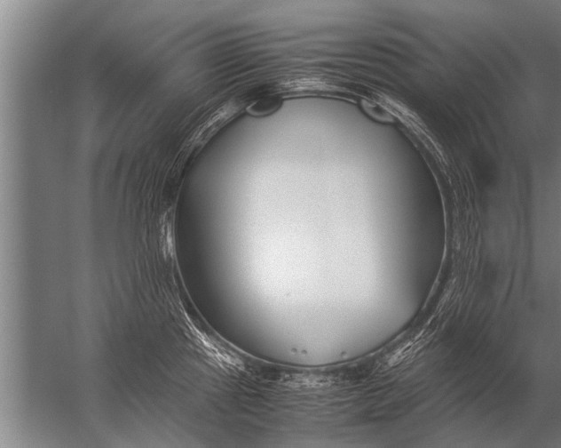 X0000057061241200510010059