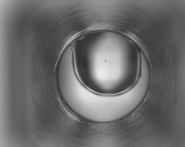 X0000057061242200510010059