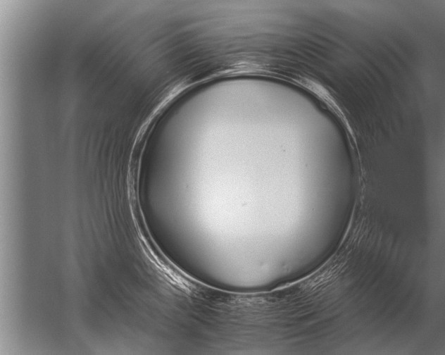 X0000057061243200510010059