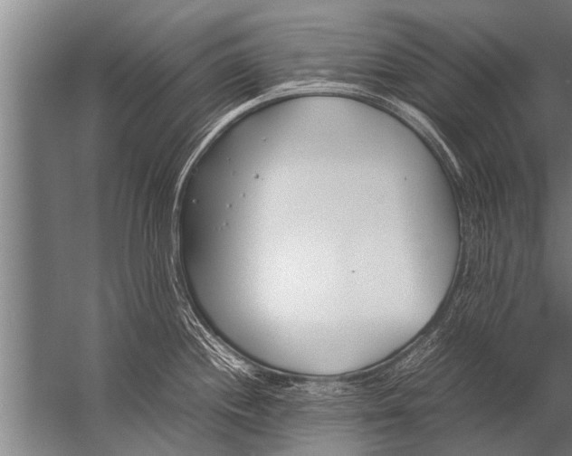 X0000057061244200510010059