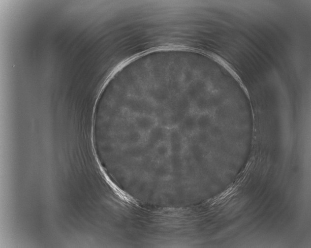 X0000057061245200510010059