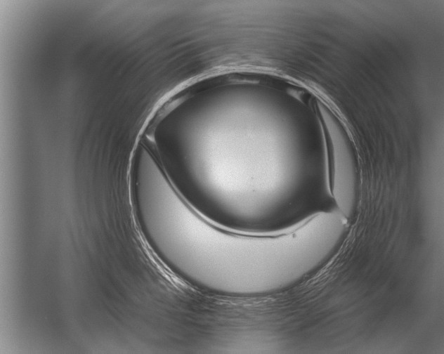 X0000057061246200510010059