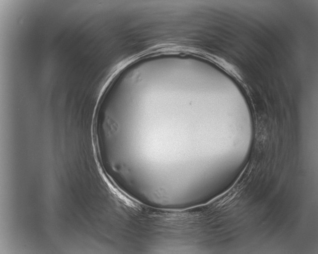 X0000057061247200510010059