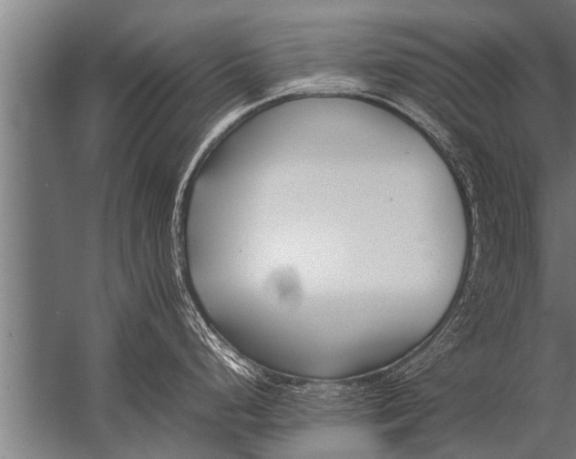 X0000057061248200510010059