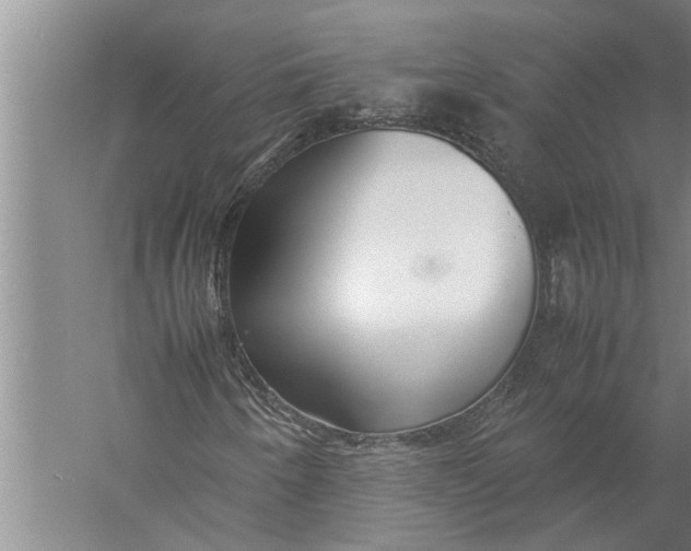 X0000057061250200510010058